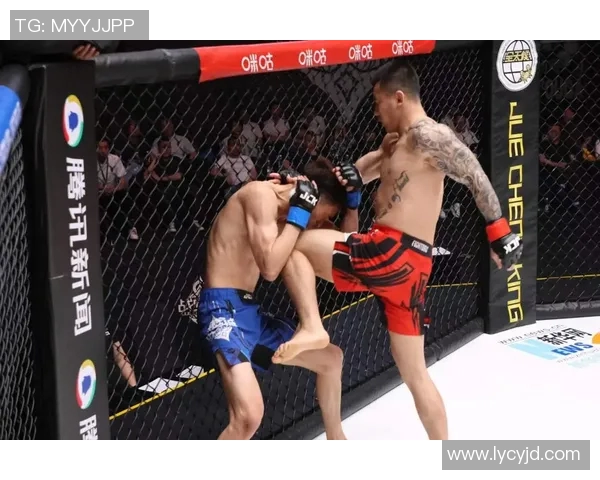 MMA格斗之夜：KO瞬间集锦